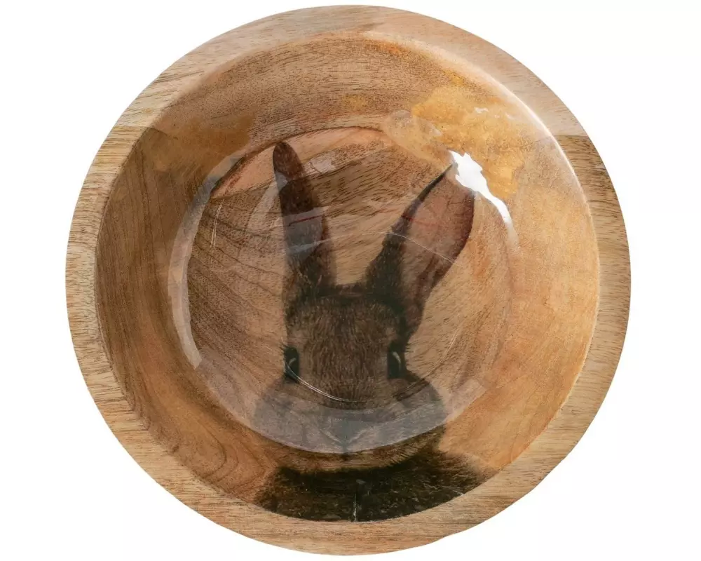 Boltze Schale Loni 600 ml, 1 Stück