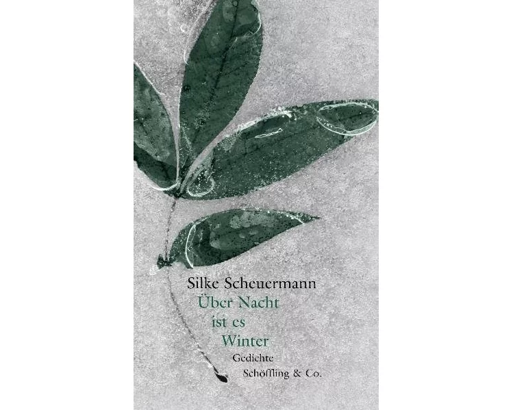 Über Nacht ist es Winter (Gebundene Ausgabe)