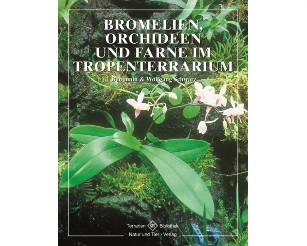 Bromelien, Orchideen und Farne im Tropenterrarium