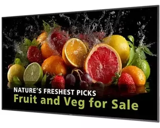 Philips Public Display D-Line 98BDL5050D/00 97.5 "