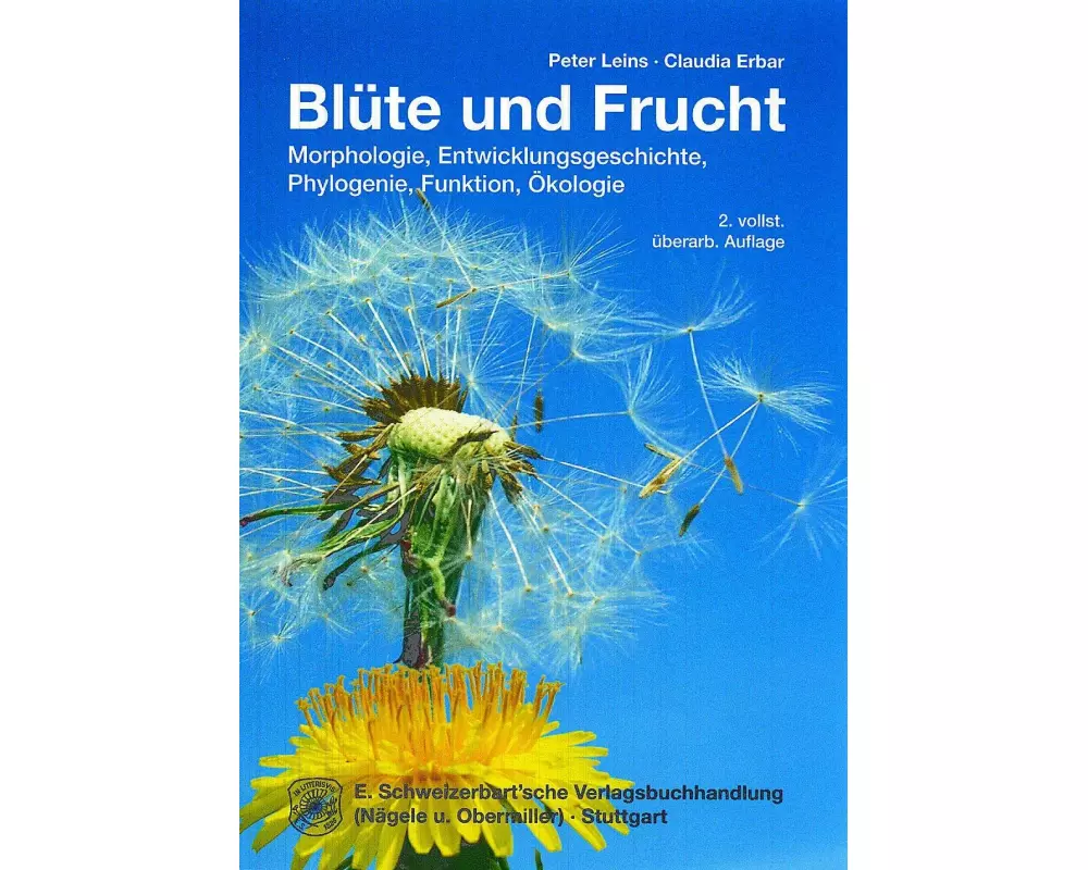 Blüte und Frucht