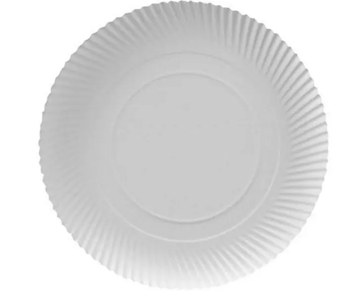 Papstar Einwegteller Pure rund D 32 cm 100 Stück