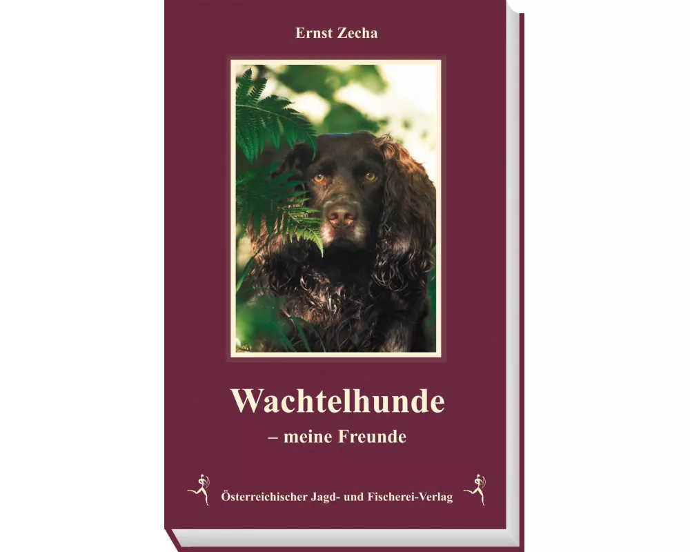 Wachtelhunde meine Freunde