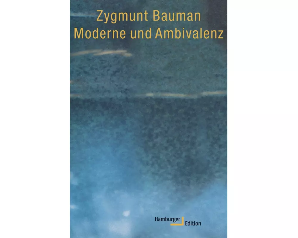 Moderne und Ambivalenz