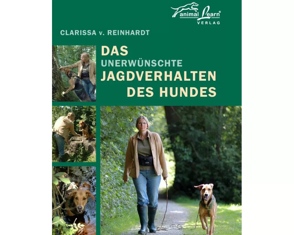 Das unerwünschte Jagdverhalten des Hundes