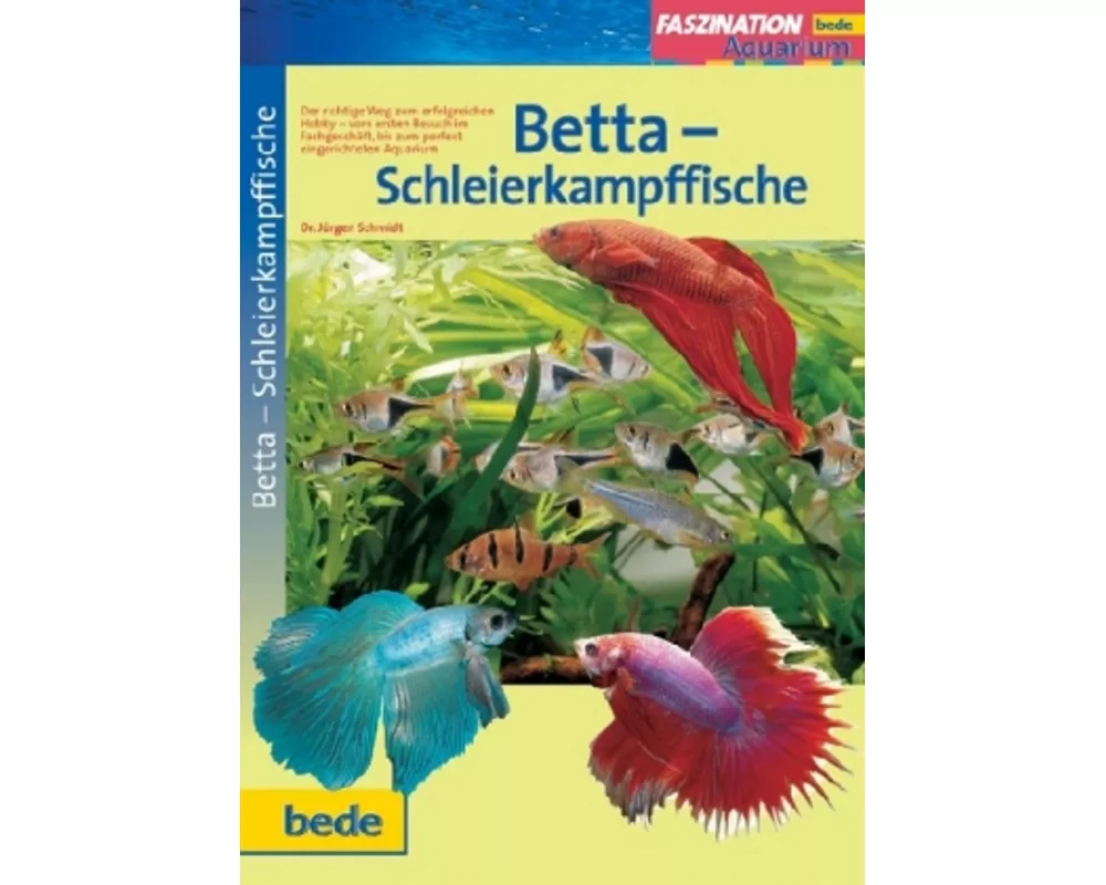 Betta-Schleierkampffische