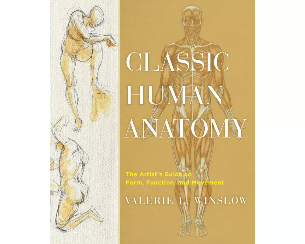 Classic Human Anatomy