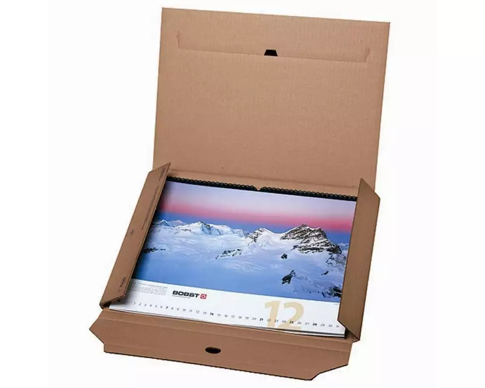 Brieger Versandkarton mit Einstecktasche 43 x 31 x 1.1 cm