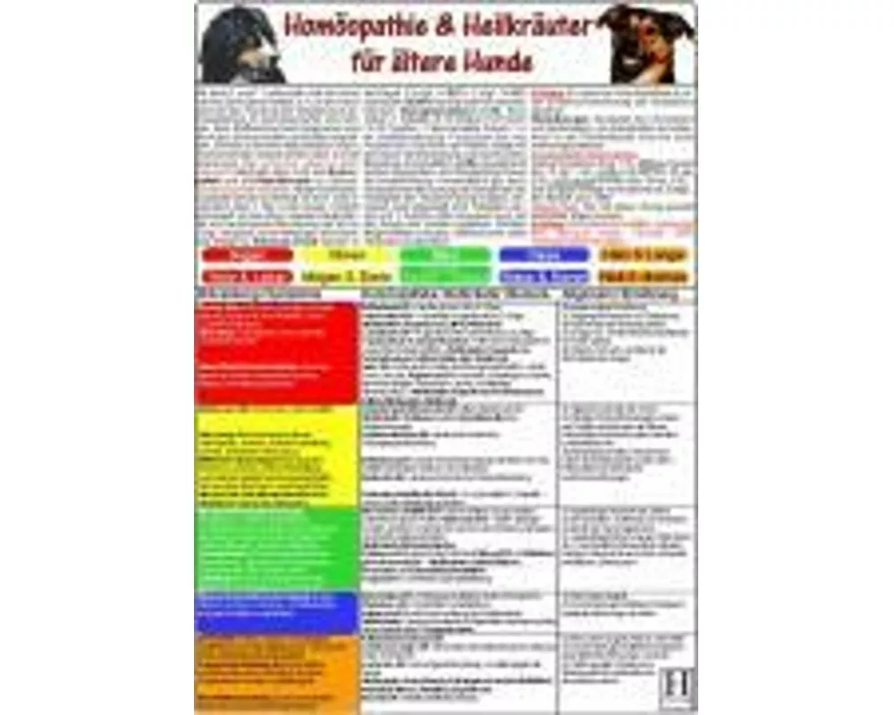 Homöopathie & Heilkräuter für ältere Hunde