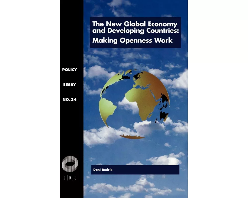The New Global Economy and Developing Countries