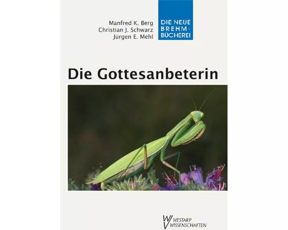 Die Gottesanbeterin
