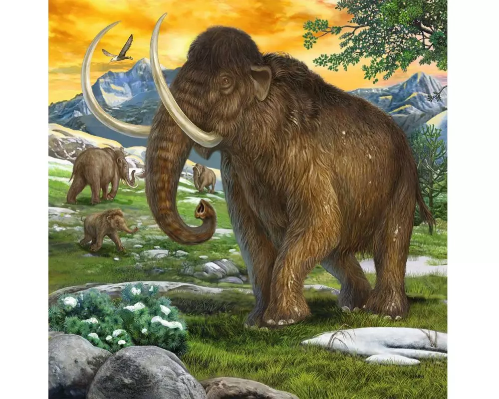 Ravensburger Puzzle Herrscher der Urzeit 3 x 49 Teile