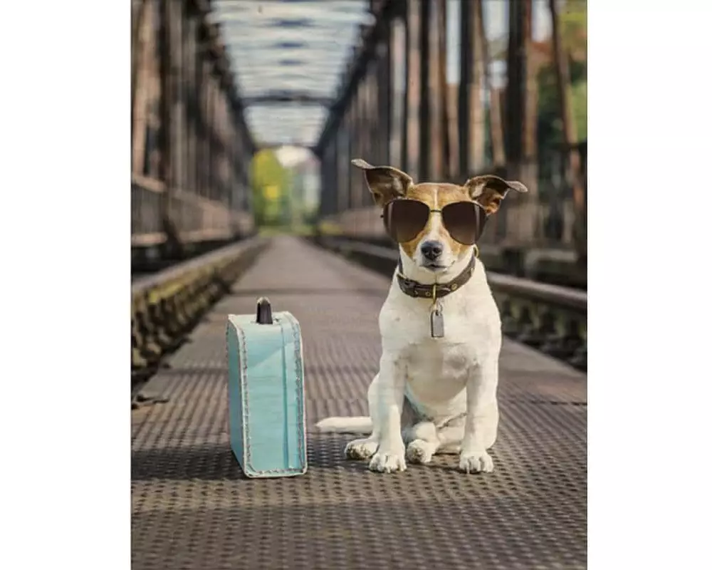 Helma365 Bild Dog Holz, 24 x 30 cm