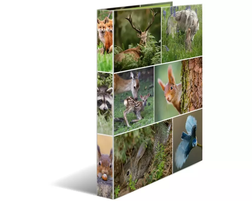 HERMA Ordner Waldtiere 4-Ring 3.5 cm