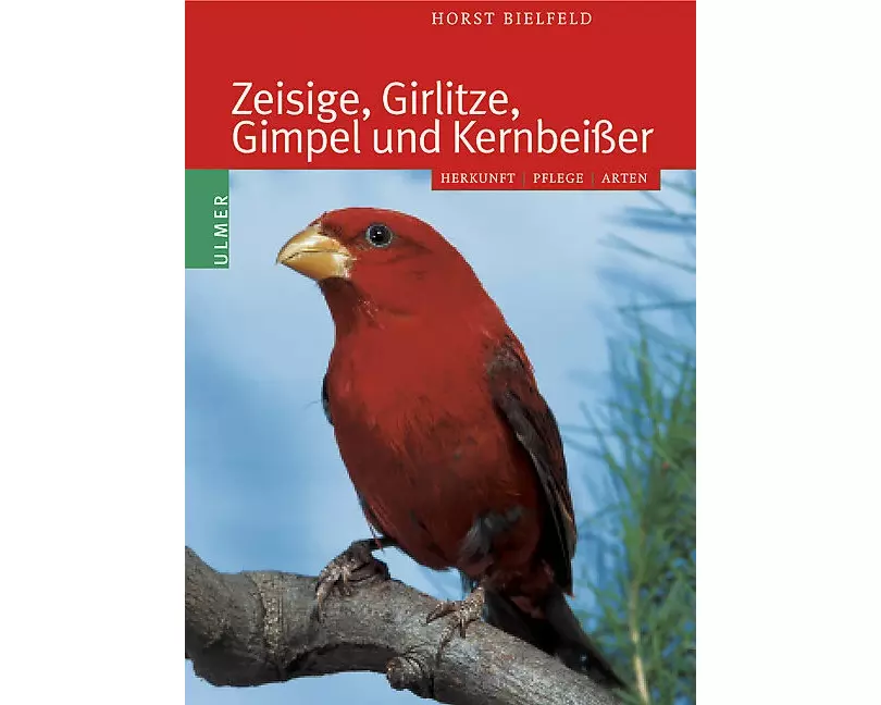 Zeisige, Girlitze, Gimpel und Kernbeisser