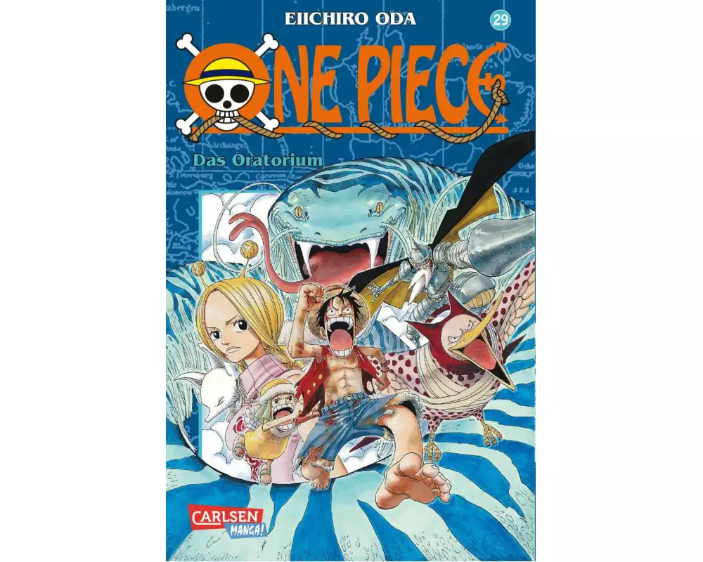 One Piece 29