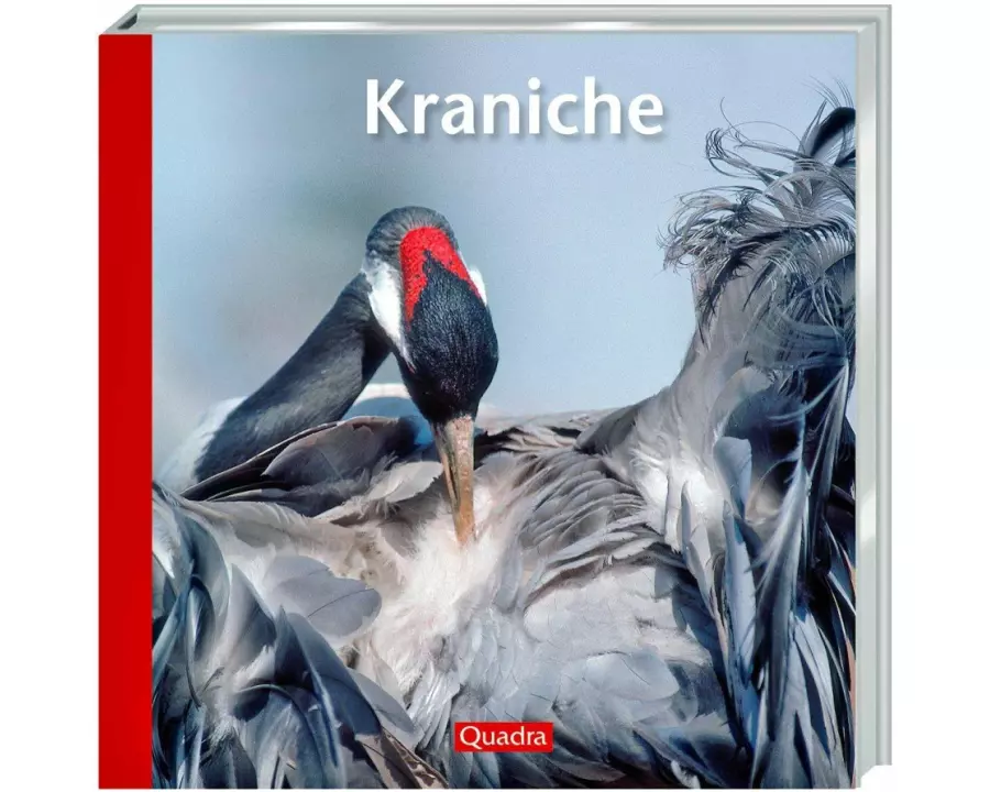 Kraniche
