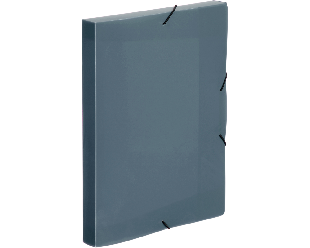VIQUEL Cool Box A4 021338-09 grau-transparent