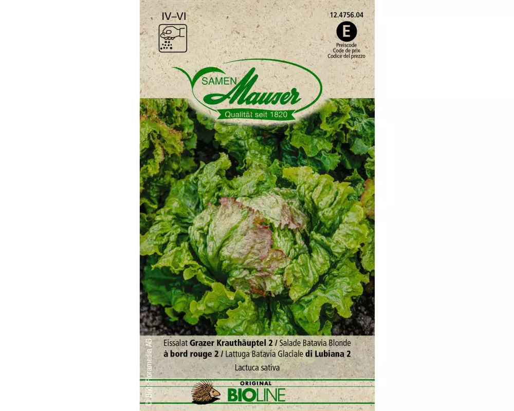 Samen Mauser Samen BIO Eissalat Grazer Krauthäuptel 2