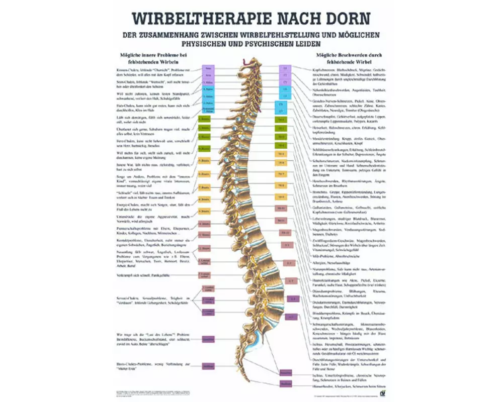Rüdiger Anatomische Lehrtafel Dorn Therapie Deutsch