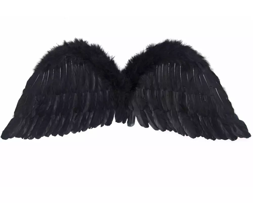 Partydeco Partyaccessoire Engelsflügel 75 x 45 cm, Schwarz
