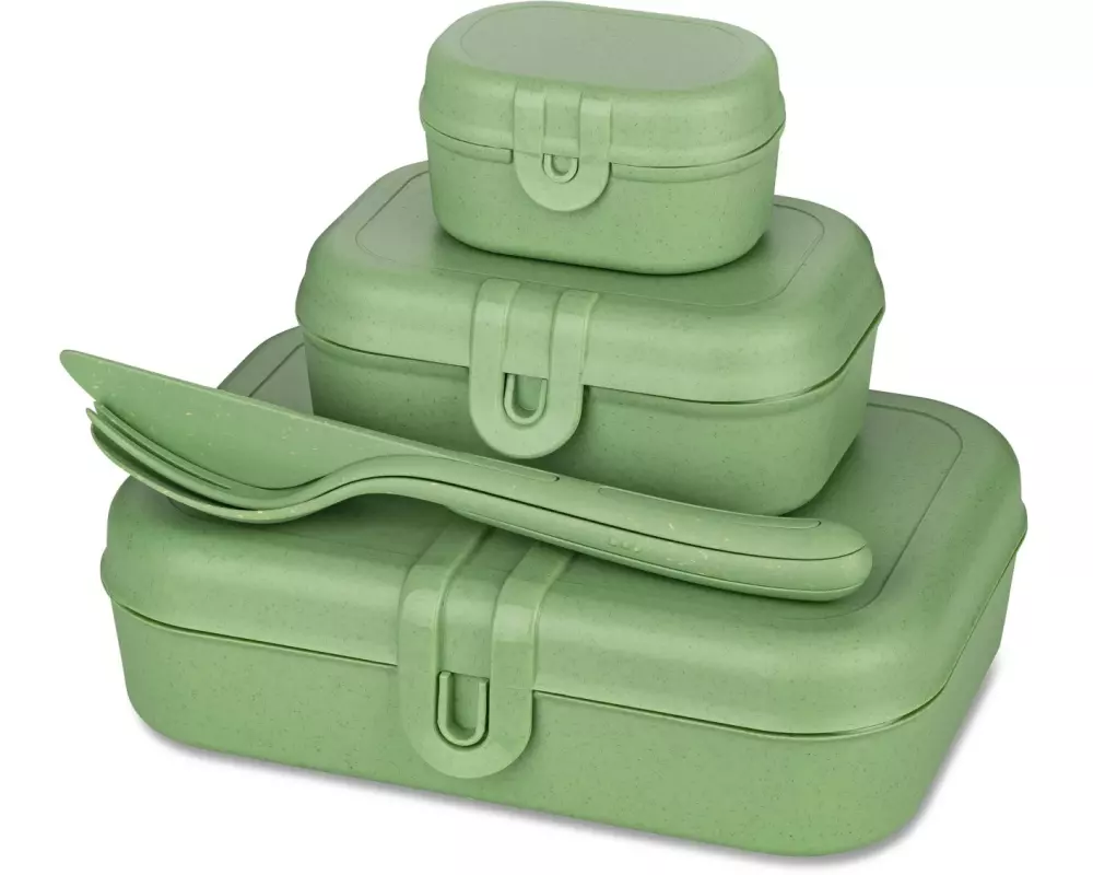 Koziol Lunchbox Pascal Ready 4-teilig, Grün