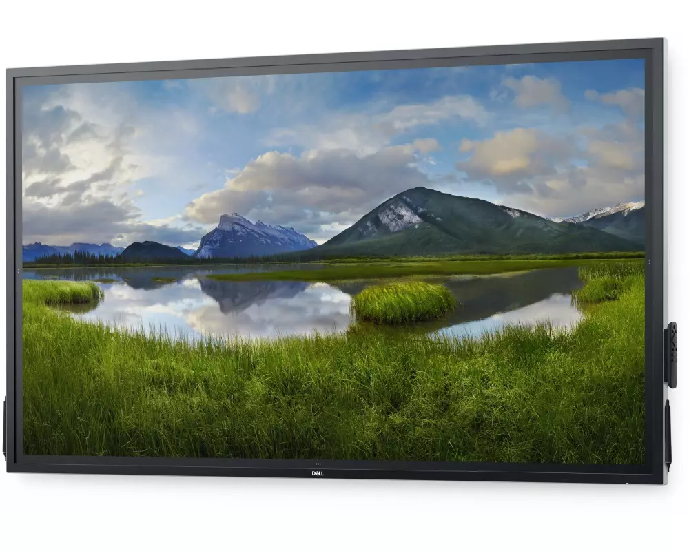 DELL Monitor P7524QT