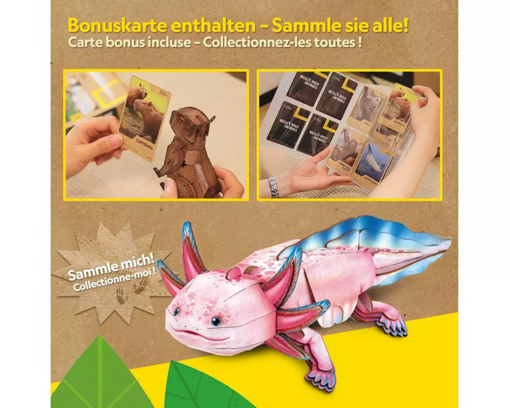 CubicFun Puzzle Axolotl 3D, 50 Teile