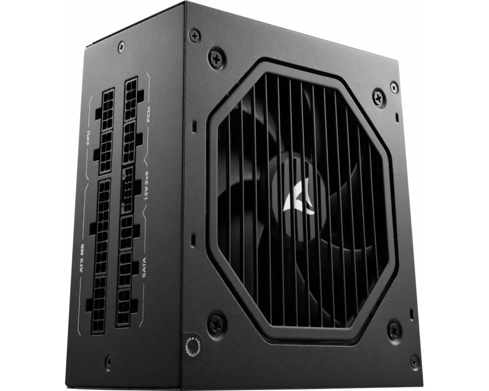 Sharkoon Netzteil Rebel P20 Platinum 1000 W, Schwarz