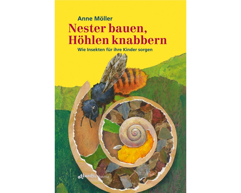 Nester bauen, Höhlen knabbern