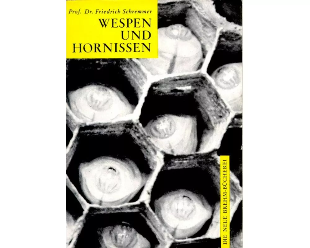 Wespen und Hornissen
