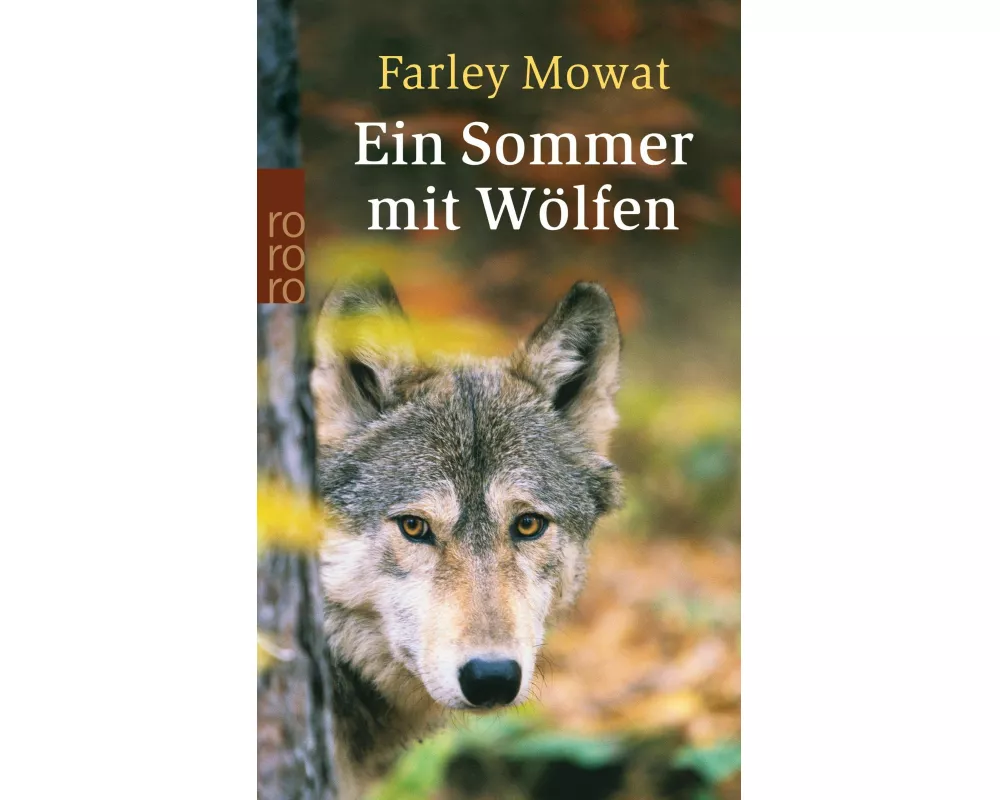 Ein Sommer mit Wölfen