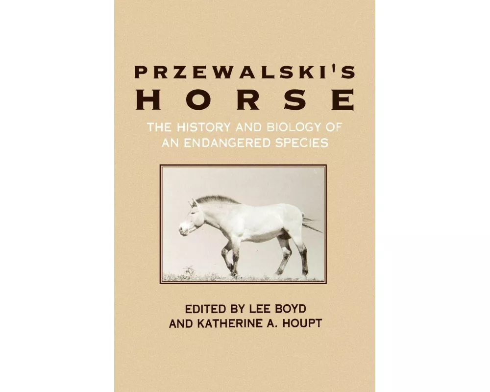 Przewalski's Horse