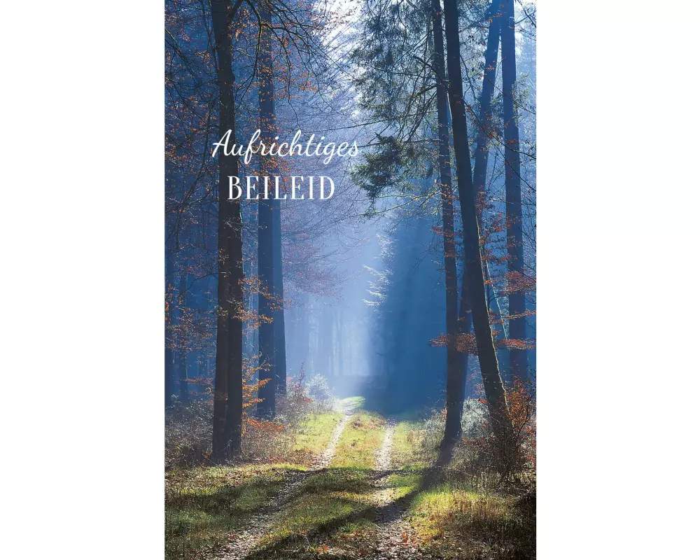 ABC Trauerkarte Wald, B6, mit Couvert