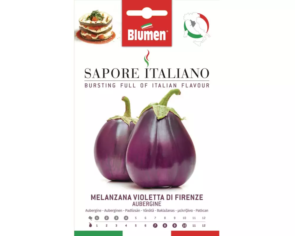 Blumen Samen Aubergine Violetta di Firenze
