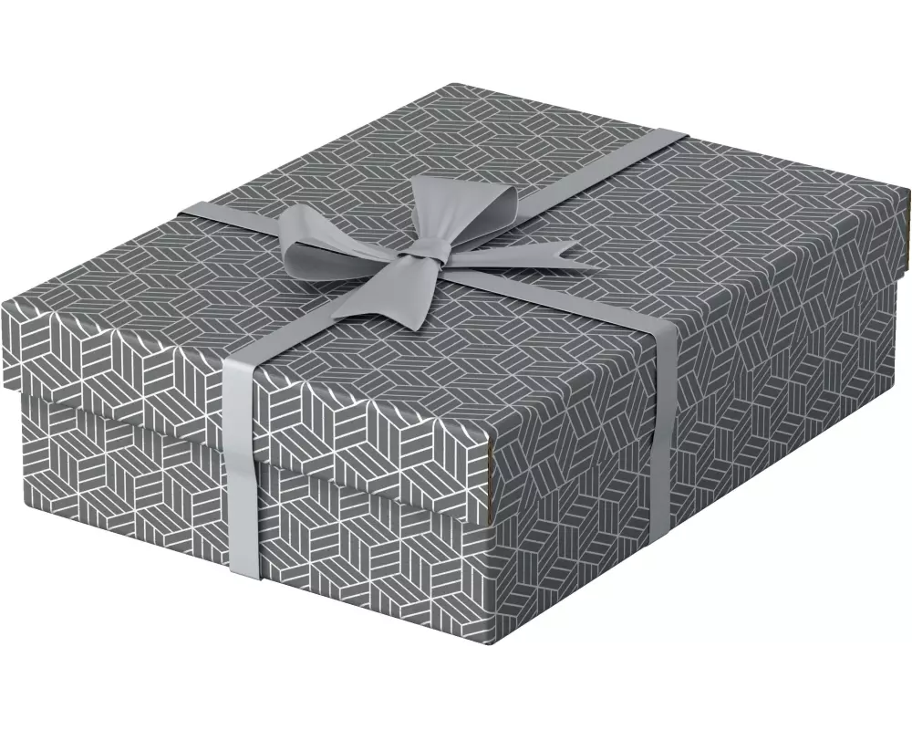 Leitz Aufbewahrungsbox Esselte Home M flach Mittel, 3 Stück, Grau