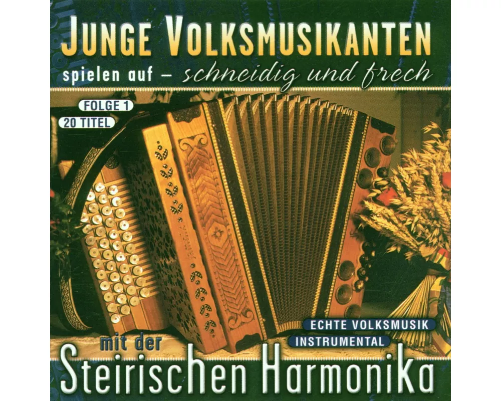 Junge Volksmusikanten spielen auf