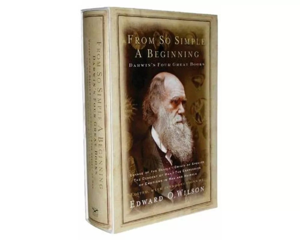 From So Simple a Beginning