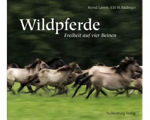 Wildpferde
