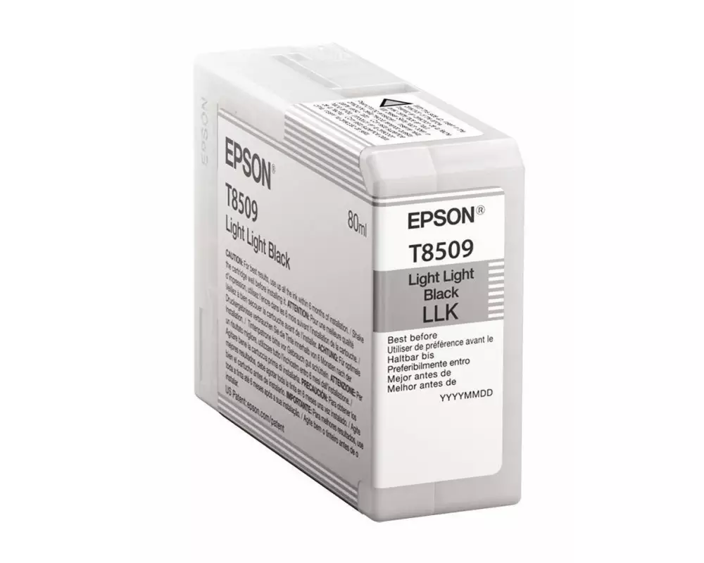Epson Tinte C13T850900