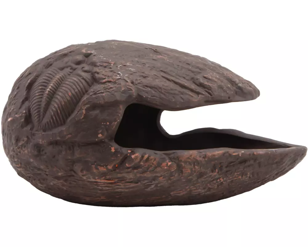 Repto Deco Cocoon Braun M