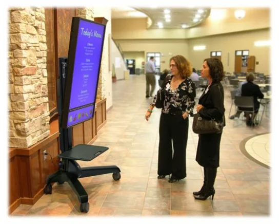 ERGOTRON roll stand, Neo-Flex Mobile MediaCenter UHD, adjustable 51cm, 50-70 inch, 41-54.4kg, Landscape and Portrait-Modus