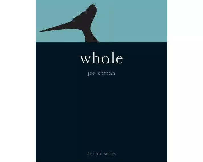 Whale