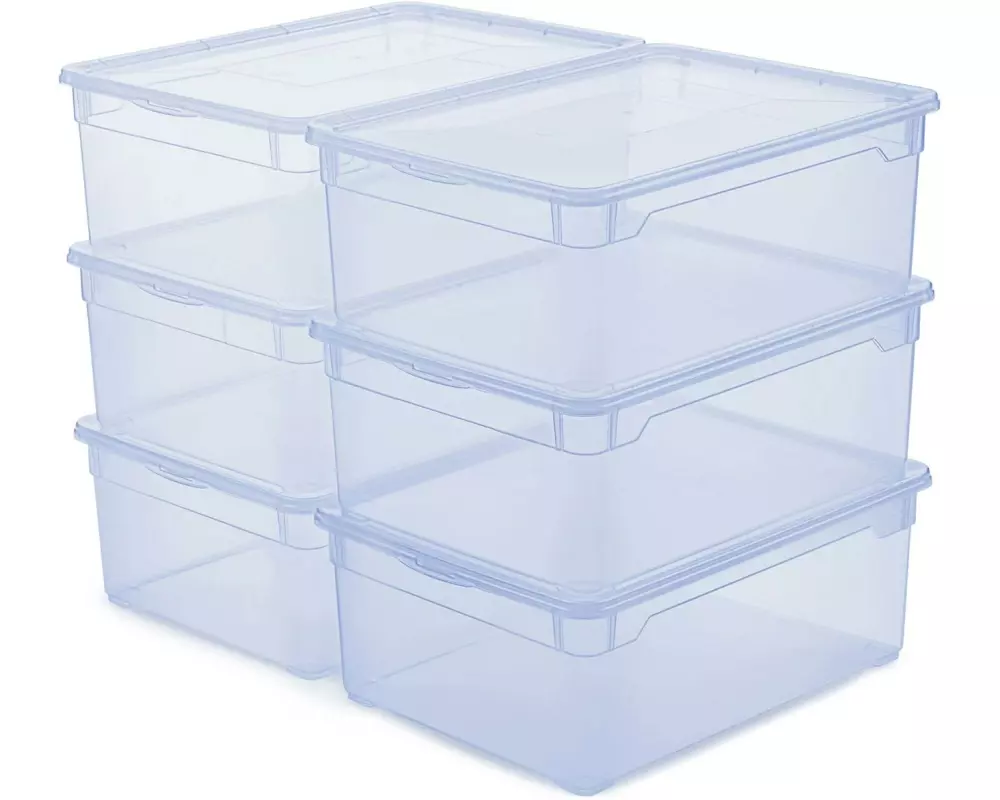 Rotho Aufbewahrungsbox Clearbox 10 l, 6 Stück