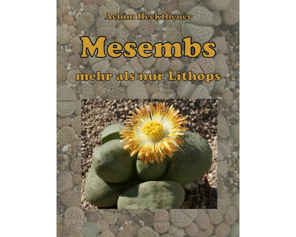 Mesembs - mehr als nur Lithops