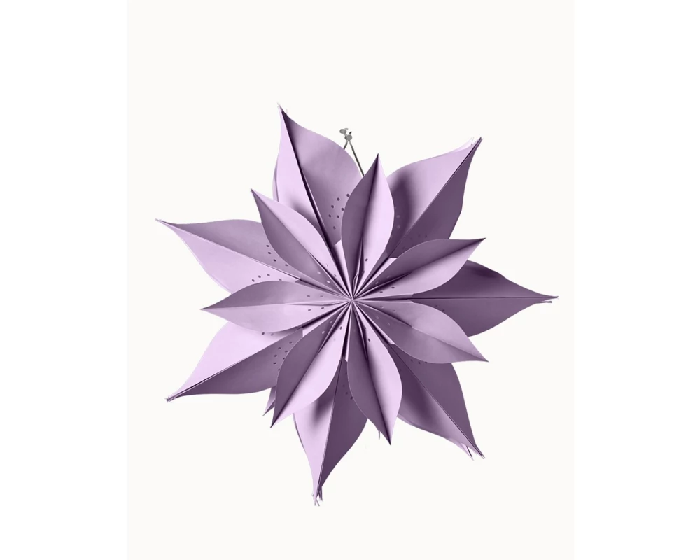 Chic Mic Christmas Star Stern