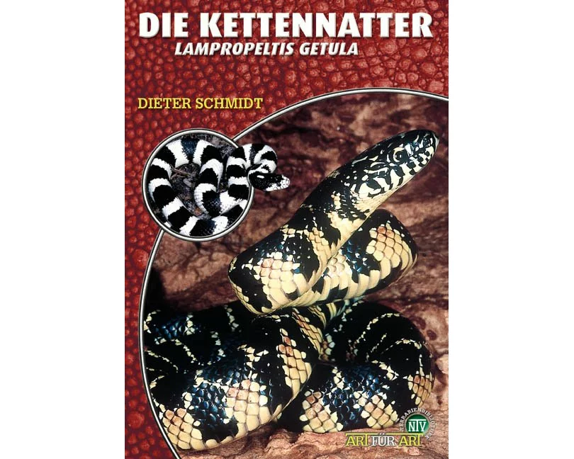 Die Kettennatter