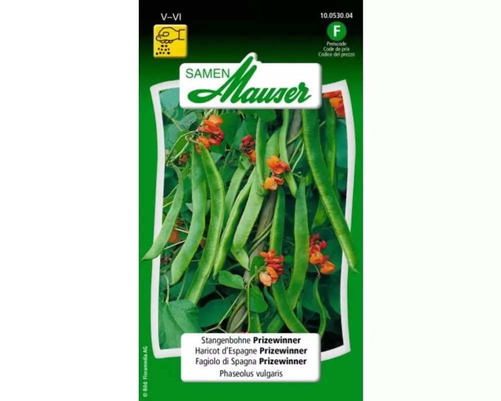 Samen Mauser Samen Stangenbohne Prizewinner
