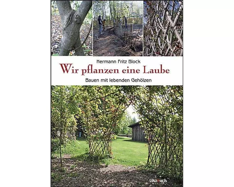 Wir pflanzen eine Laube