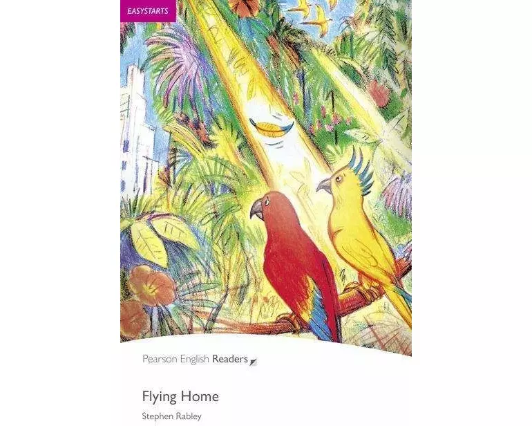 Easystart: Flying Home